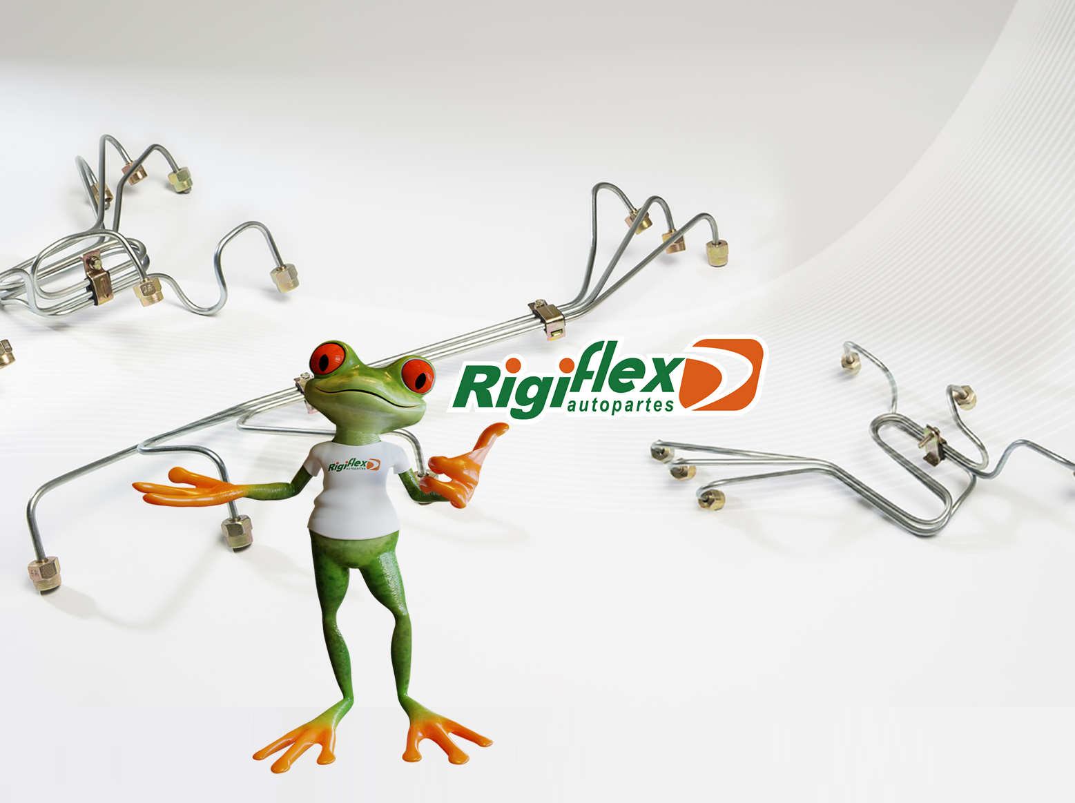 RFX CABEZAL 1 RIGIFLEX AUTOPARTES